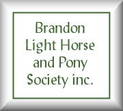 Link to Brandon Light Horse & Pony society